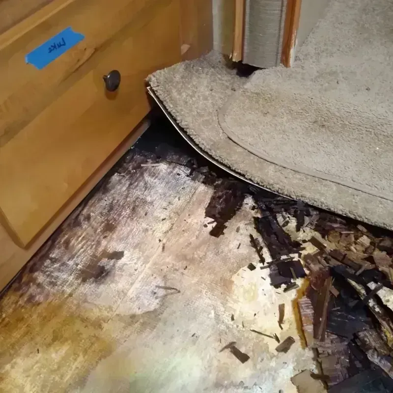 Best Wood Floor Water Damage Service in Hardin County, IL